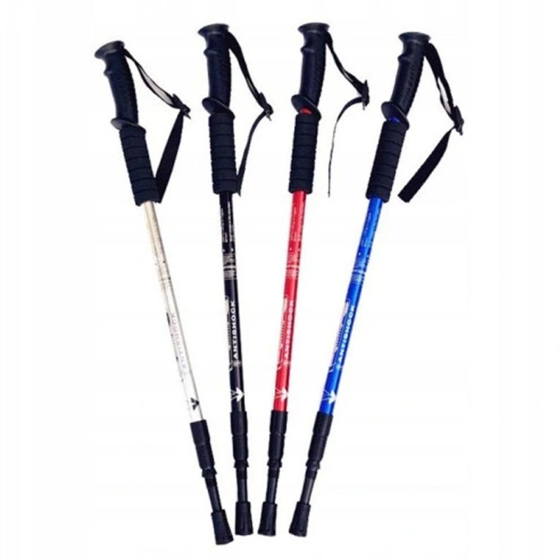 Kijki do chodzenia Nordic Walking komplet 2 sztuki kije składane z kompasem Edenberg EB 1059
