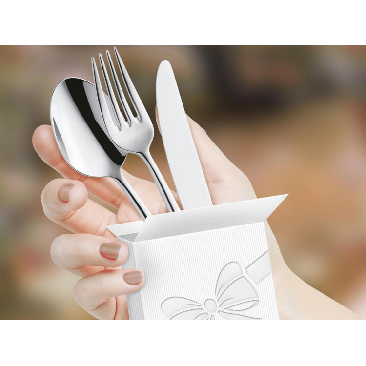 Łyżeczka do restauracji Amefa Bologna 1570 do herbaty 1 szt na wesela